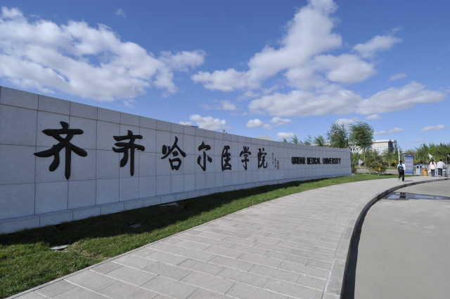 齊齊哈爾.png